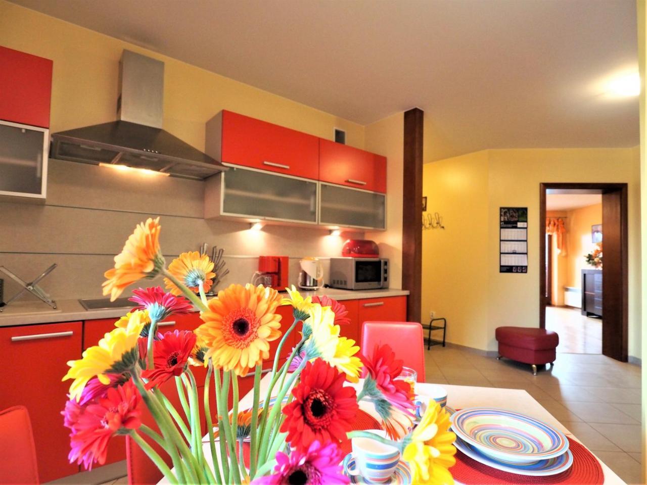 Apartamento Apartament Widokowy Maki Zakopane Exterior foto